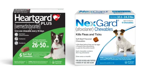 Offers | NexGard for Pets